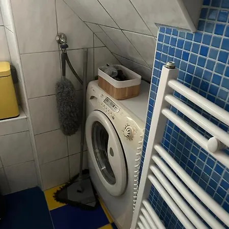 Old Town Lucky Star Split